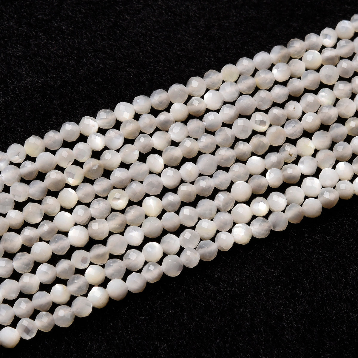 White Shell  Beads Strand