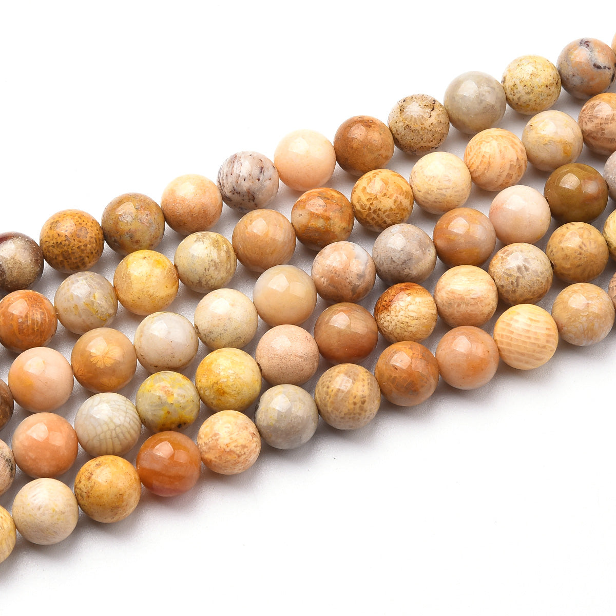 Fossil Jasper Beads Strand (Dyed)